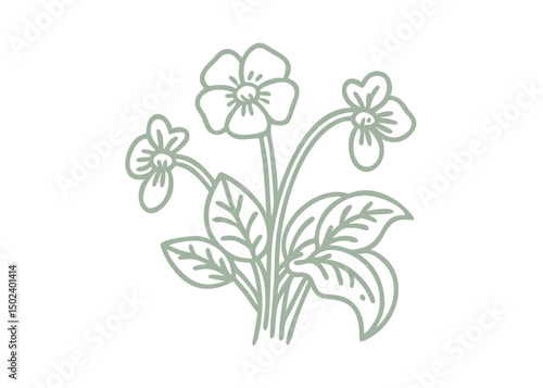 Alaska Violet Outline Illustration, Viola Langsdorfii