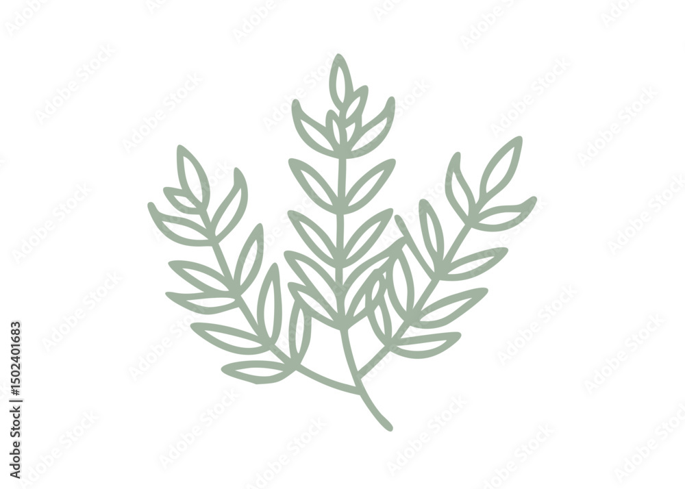 Obraz premium Minimalist Fireweed Branch Illustration, Epilobium