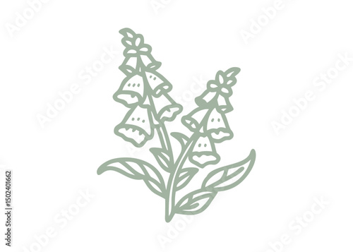 Wallpaper Mural Foxglove Digitalis Purpurea Minimalist Line Art Torontodigital.ca