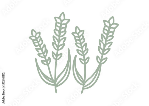 Ladies Tresses Orchid Minimalist Line Art