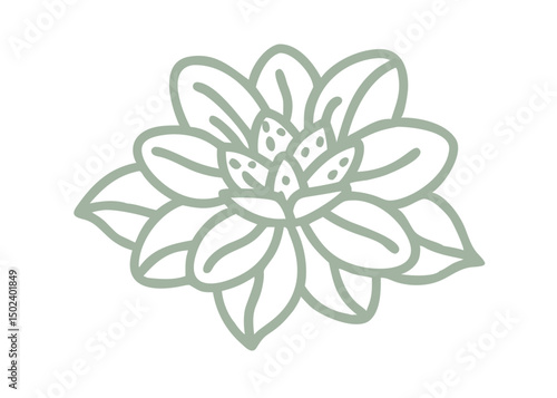 Lapland Rosebay Flower Line Art Illustration