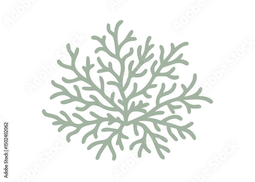 Reindeer Moss Cladina Rangiferina Isolated Vector