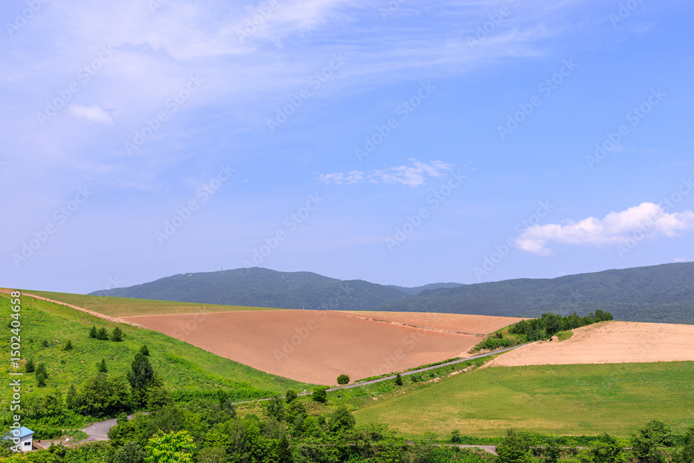 Fototapeta premium 北海道芦別市、新城町の丘陵に広がる畑【6月】