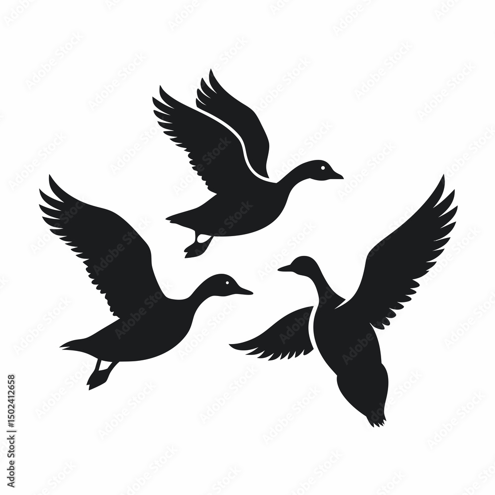 Obraz premium black headed gull