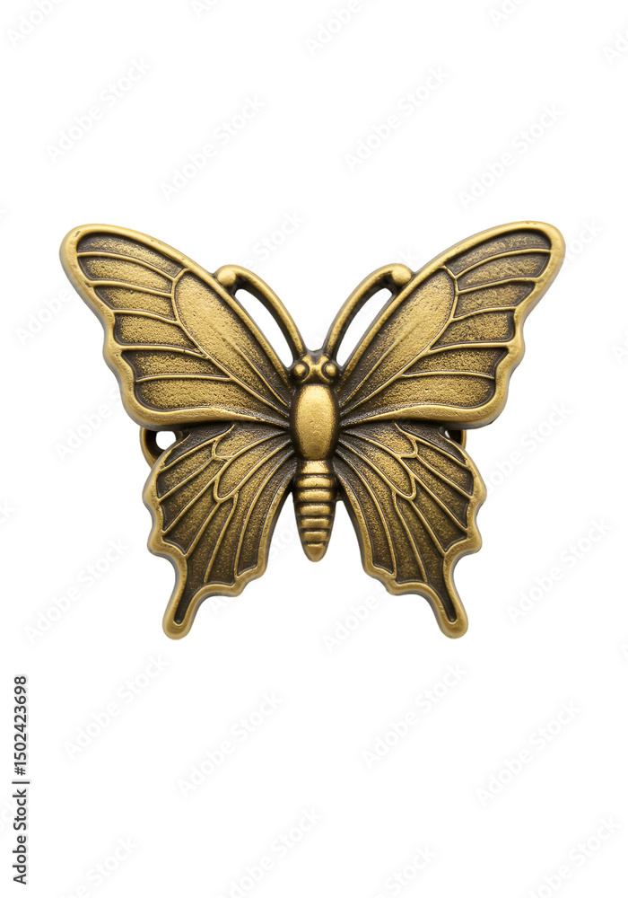 Fototapeta premium Decorative butterfly belt buckle