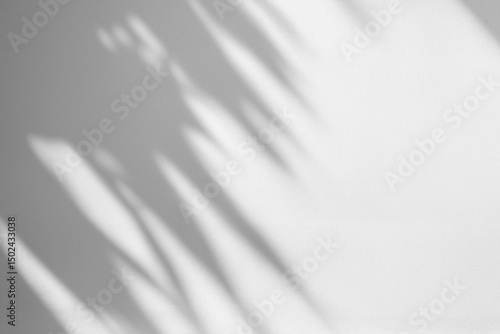 Light Shadow Overlays