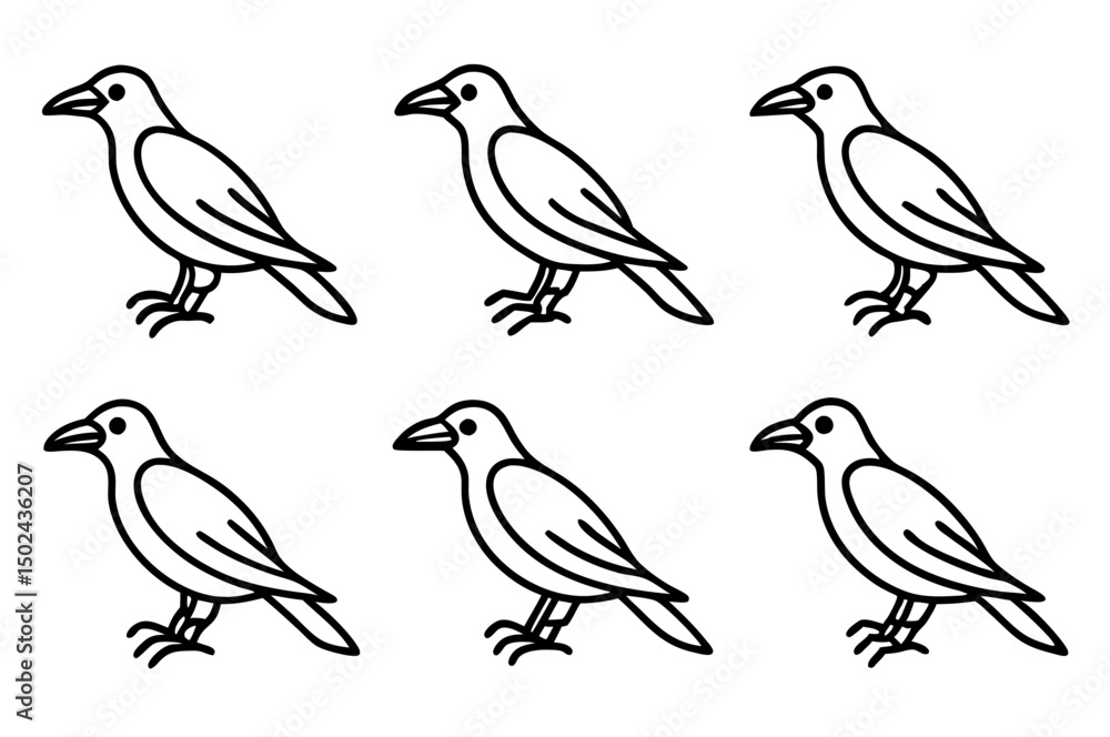 Fototapeta premium Elegant Crow Sketch Pack