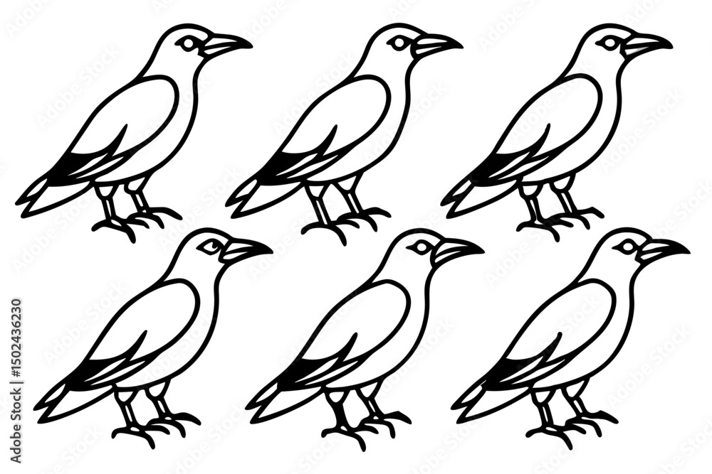 Fototapeta premium Elegant Crow Sketch Pack