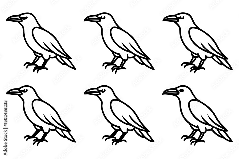 Fototapeta premium Elegant Crow Sketch Pack