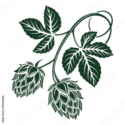 Hop-bud Vector AI Graphic Design File on White Background
