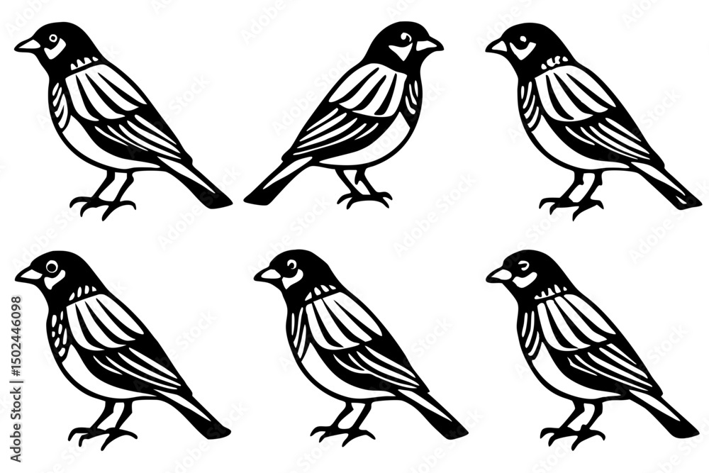 Fototapeta premium Finch Bundle Set Minimalist Line Art Vector
