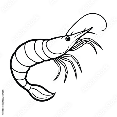 clean vector shrimp