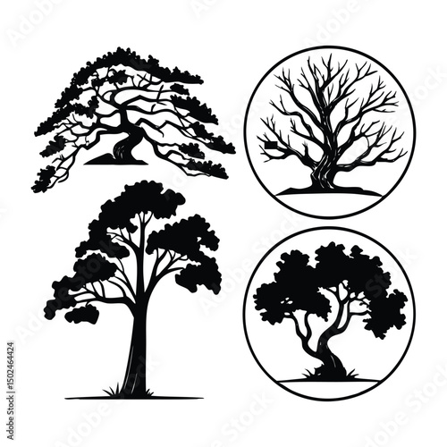 Collection of bare winter tree silhouettes with branches, Tropical beach nature vector illustration, perfect for nature and forest landscape designs, with black palm tree silhouettes