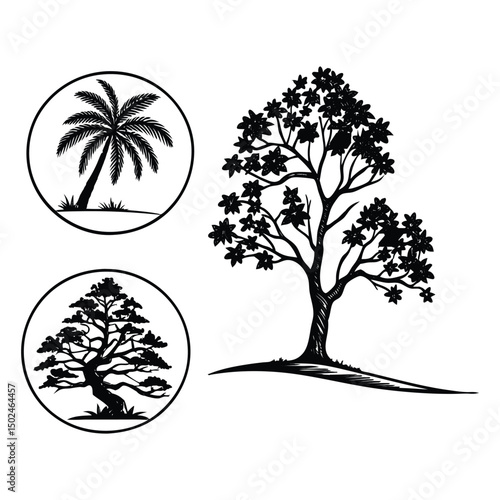 Collection of bare winter tree silhouettes with branches, Tropical beach nature vector illustration, perfect for nature and forest landscape designs, with black palm tree silhouettes