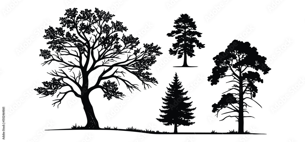 Fototapeta premium Collection of bare winter tree silhouettes with branches, Tropical beach nature vector illustration, perfect for nature and forest landscape designs, with black palm tree silhouettes