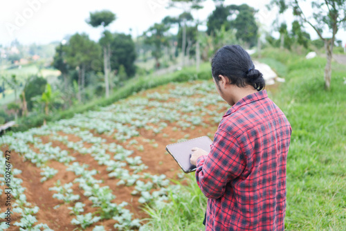 Young farmer using digital tablet inspecting cabbage brassica crops in mountain slope green field. Smart agriculture for sustainable food production