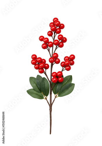 Red berries cluster on stem