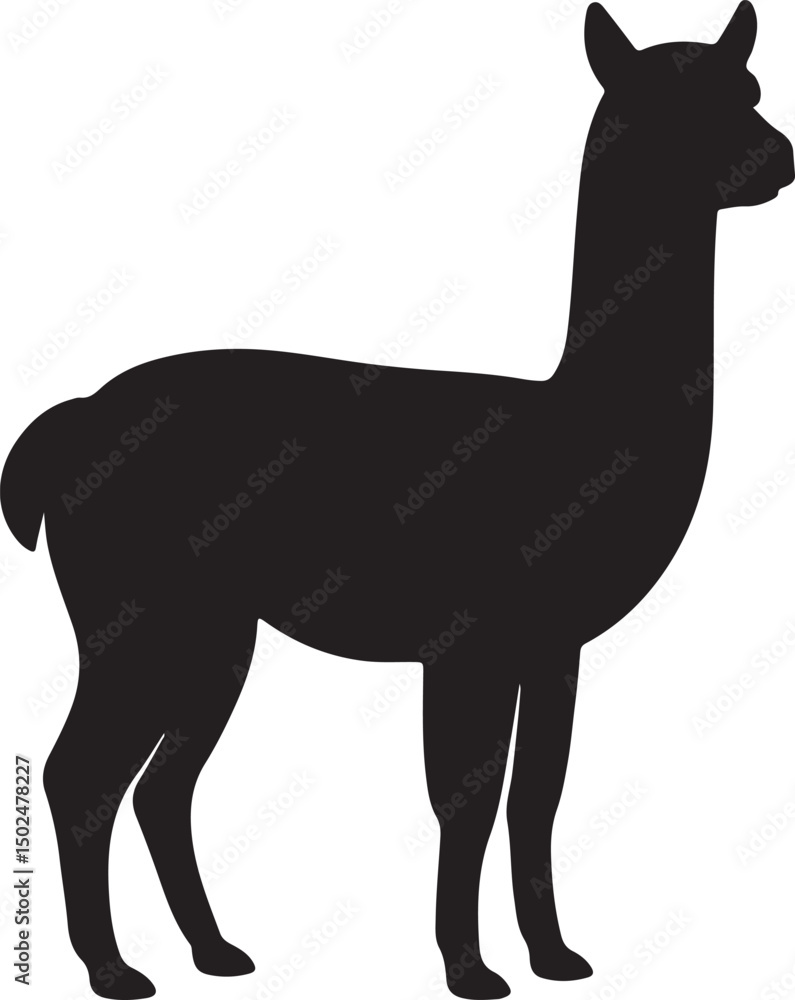 Fototapeta premium a alpaca vector