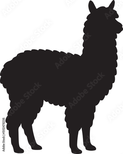 a alpaca vector