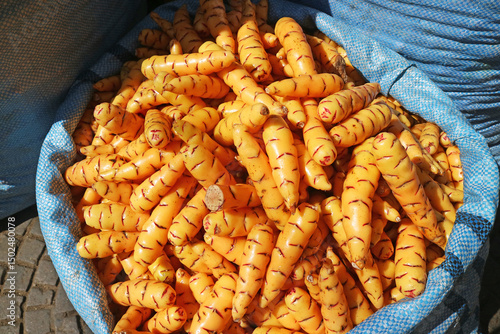 Pile of Oca Oxalis tuberosa, Vibrant Color Andean Tubers For Sale on the Local Market in La Paz, Bolivia, South America