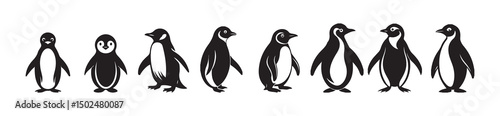 Black penguin bird animal silhouette cartoon vector icon. bird icon walking logo cartoon character. vector eps 10
