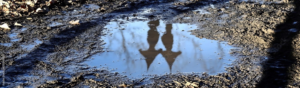 Obraz premium Puddle reflection, muddy ground, trees