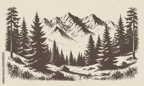 Vintage mountain landscape with pine forest, illustrated in rustic ink drawing style for nature and outdoor lovers.