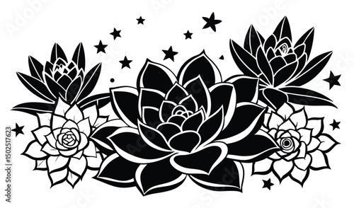 Succulent plants stonecrop and sedum rosettes illustration