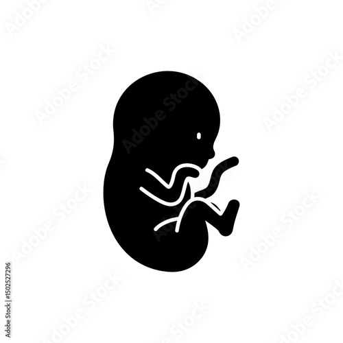 Early stage human embryo development biological image