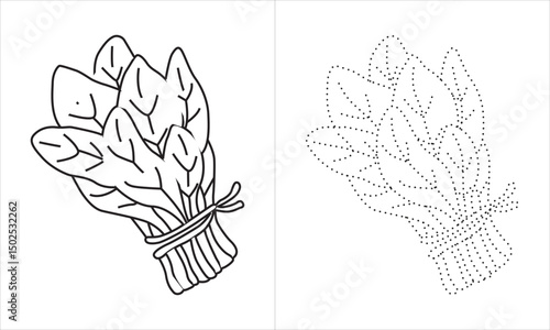 Vintage engraving-style illustration of a bunch of spinach leaves. Hand-drawn botanical graphic, perfect for food packaging, farm branding, cookbooks, organic markets, or restaurant menus.