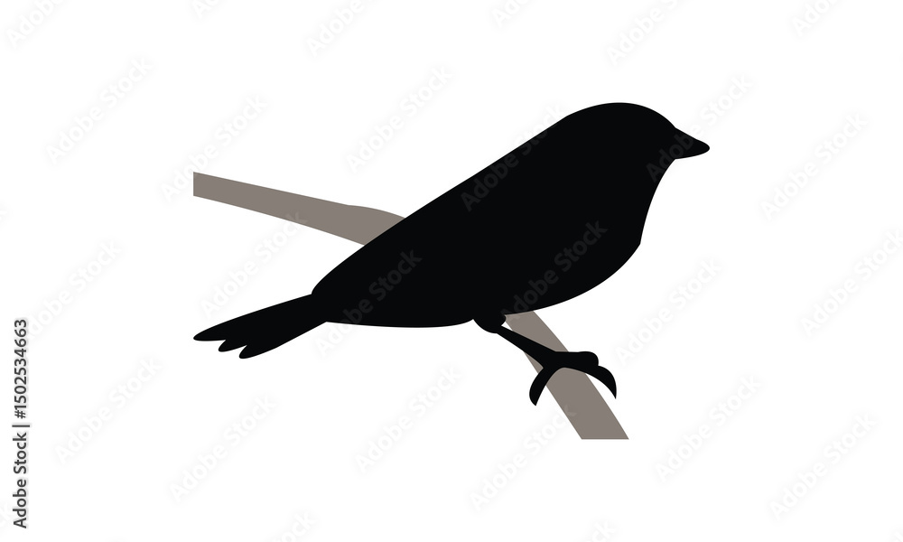 Obraz premium Aldabra fody bird Silhouette Design And Vector Illustration. 