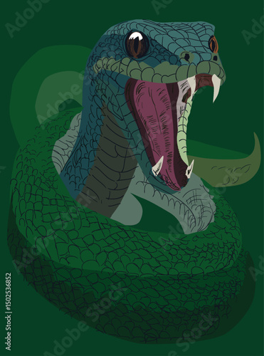 large snake isolated on green background