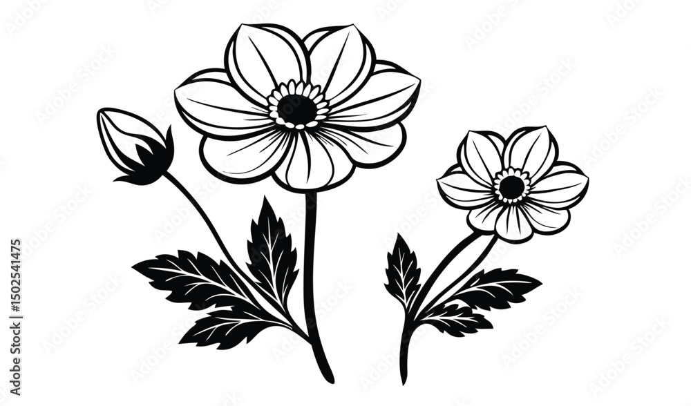 Elegant windflower and anemone floral design Elegant windflower and anemone floral design