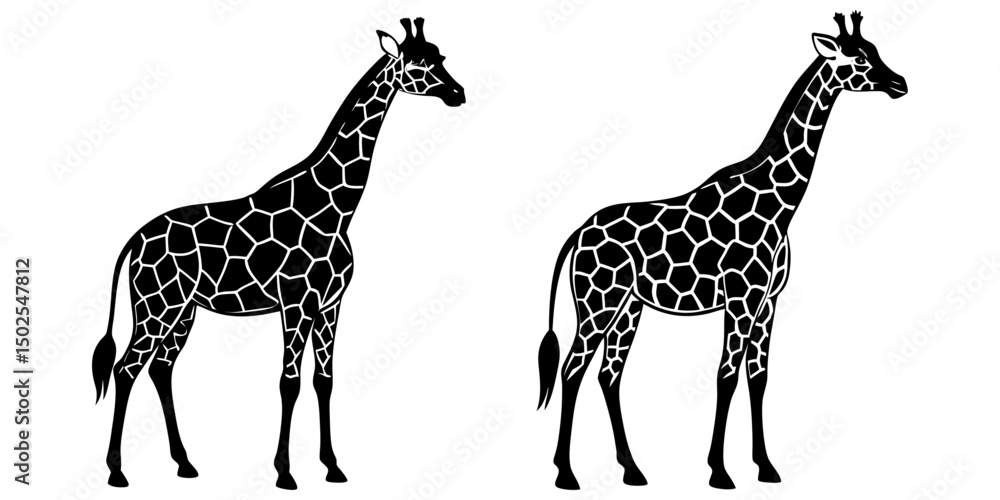 Obraz premium Giraffe vector silhouettes 
