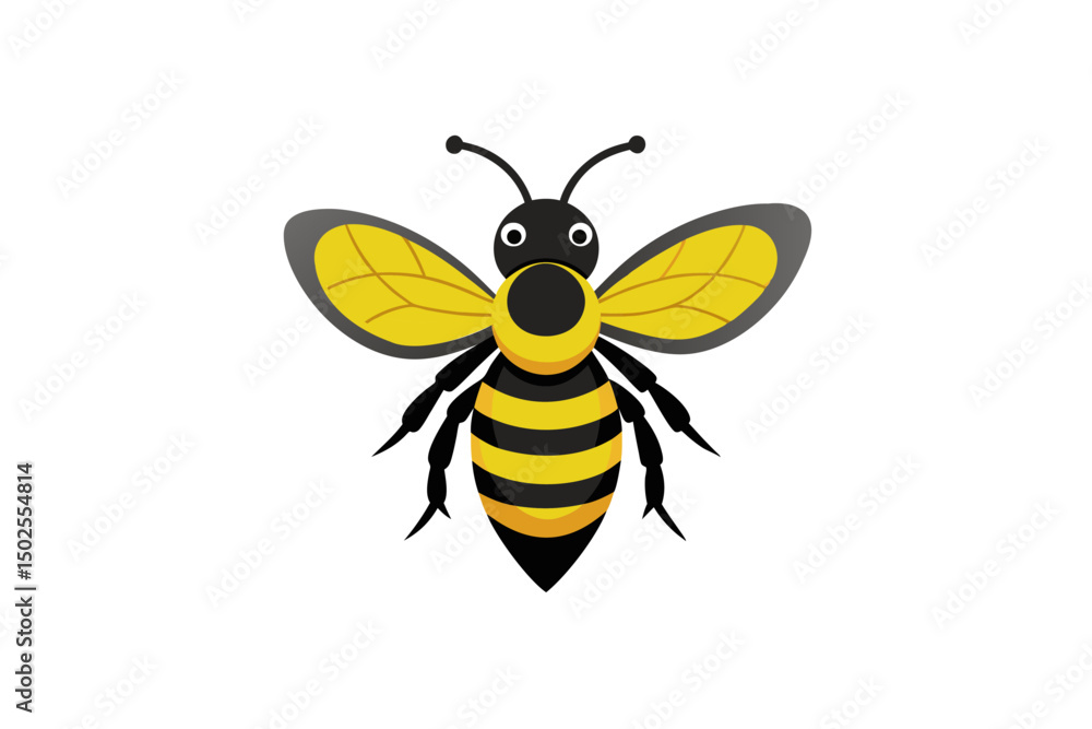 bee vector illustration bee vector illustration