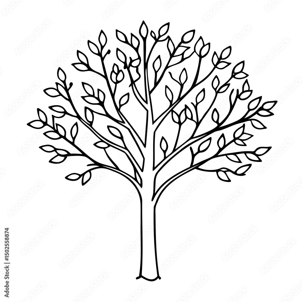 line art vector of an aspen tree with slender branches and small, rounded leaves. line art vector of an aspen tree with slender branches and small, rounded leaves.
