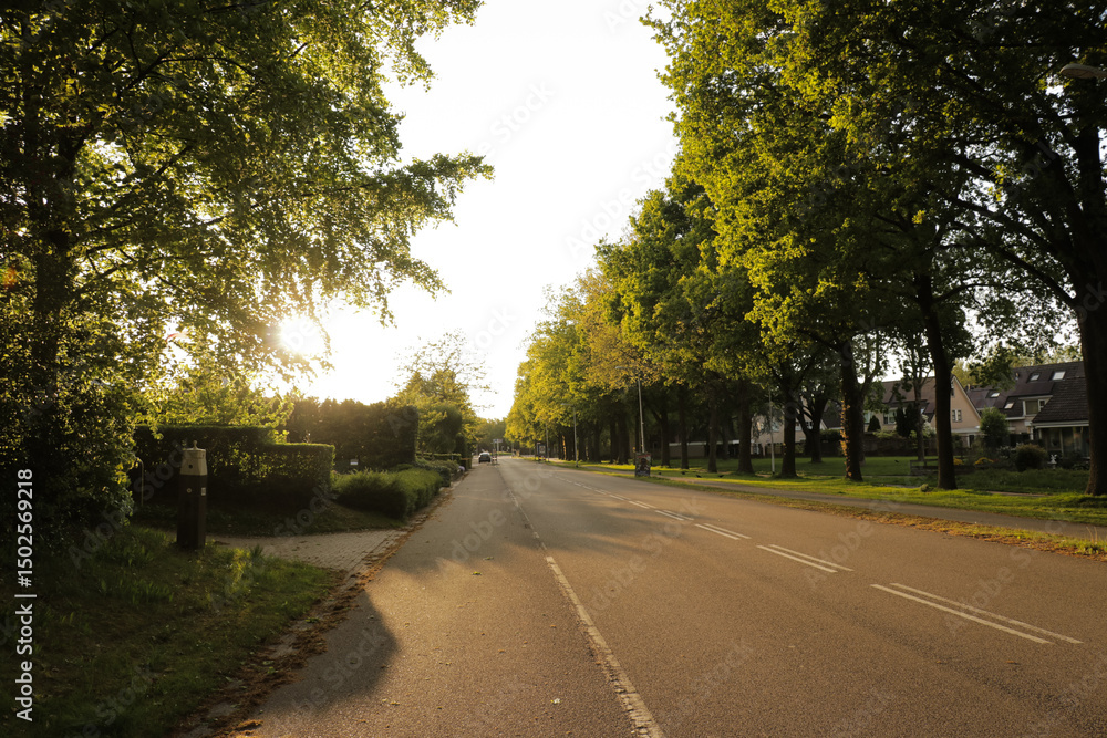 Obraz premium Empty road Netherlands neighborhood city explore town summer trees and grass at golden hour, peaceful rural landscape in Europe.