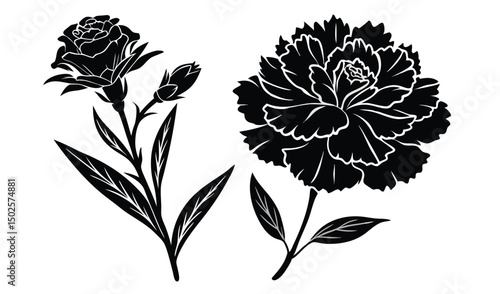 Fringed petals a carnation and delphinium floral design