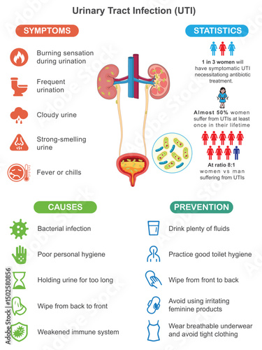 Urinary Tract Infection UTI Symptoms Causes and Prevention Medical Infographic for Health Education