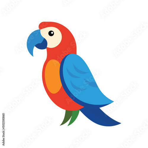 macaw vector