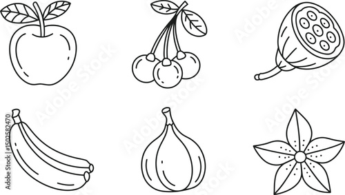 Minimalistic outline illustration of apple cherry lotus banana fig and flower