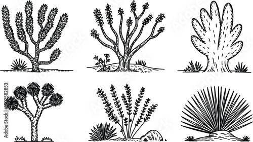 Hand drawn desert plants and bushes black and white vector illustrations