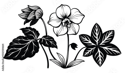 Hellebore and cyclamen flowers with nodding blooms