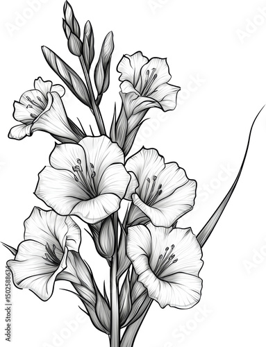 Obraz na płótnie gladiolus flower 