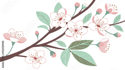 The Delicate Beauty and Symbolism of Cherry Blossoms in Spring