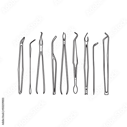 black and white line art tongue forceps vector image