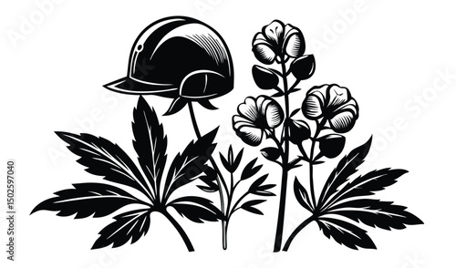 Elegant monkshood and aconitum flowers with helmet shaped blooms