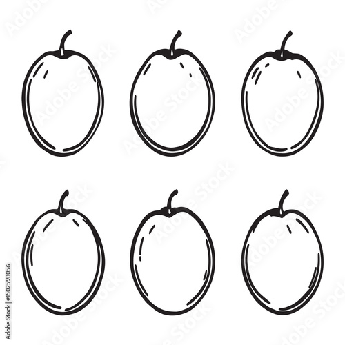 Elegant single nectarine sketch in linear art format