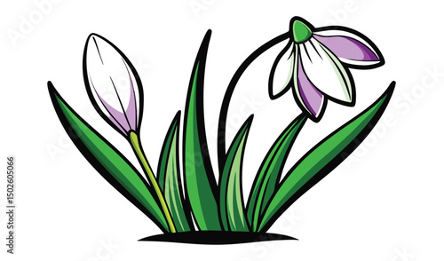 Spring flowers snowdrop and crocus illustration