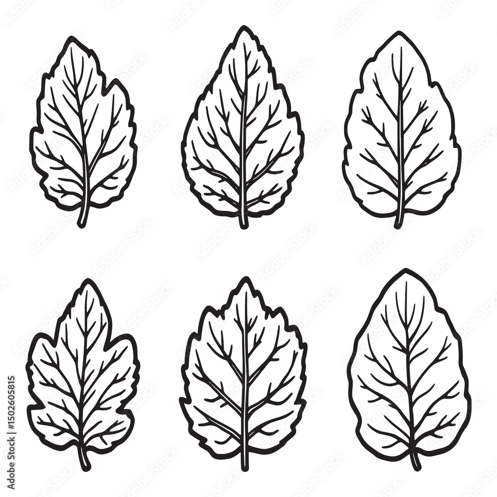 Obraz premium Leucaena Tree Simple Line Art Illustration Vector Design